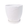 Ceramic Flower Pot