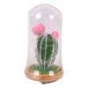 Decorational Plant