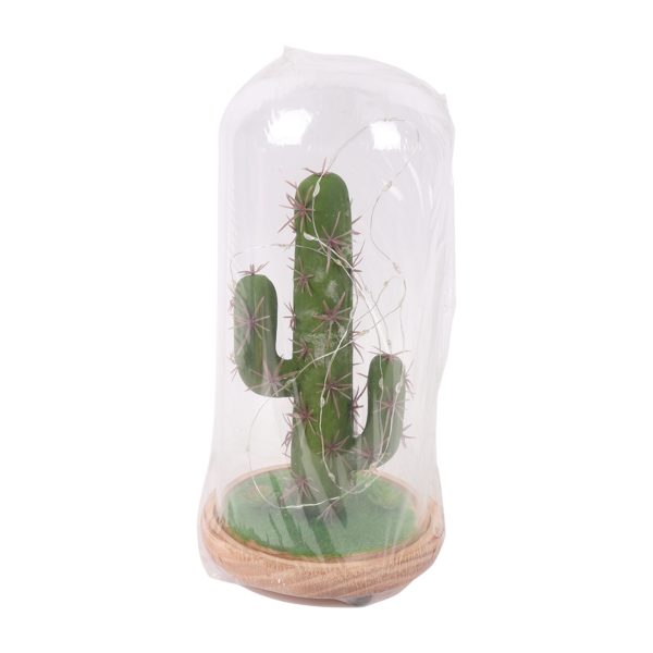 Decorational Plant