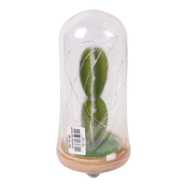 Decorational Plant