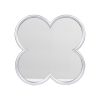 Mirror With Plastic Frame