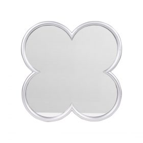 Mirror With Plastic Frame