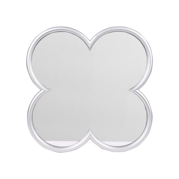 Mirror With Plastic Frame