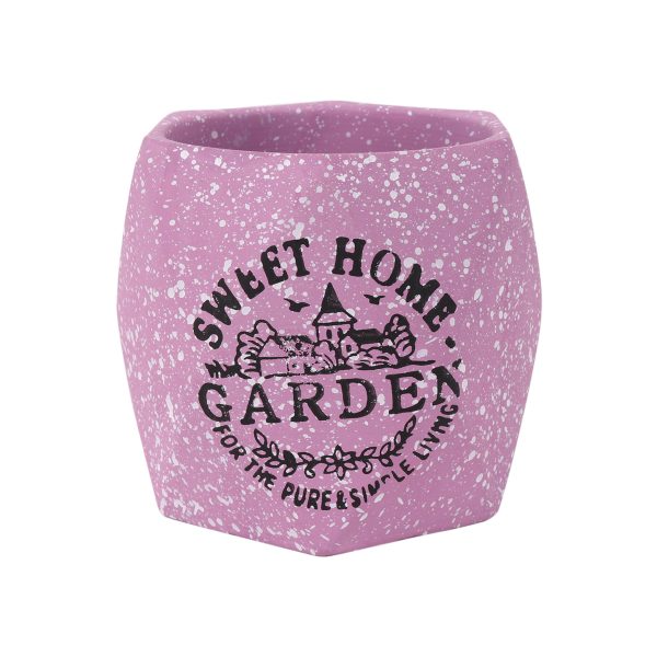 Flower Pot