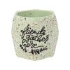 Flower Pot