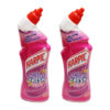 Harpic Active Fresh Pink Blossom Toilet Cleaner 750ML X 2