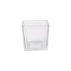 Glass Vase