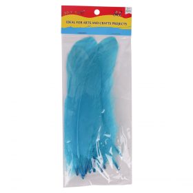 Blue Feathers