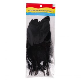 Black Feathers