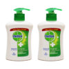 Dettol Hand Wash 215ML X 2