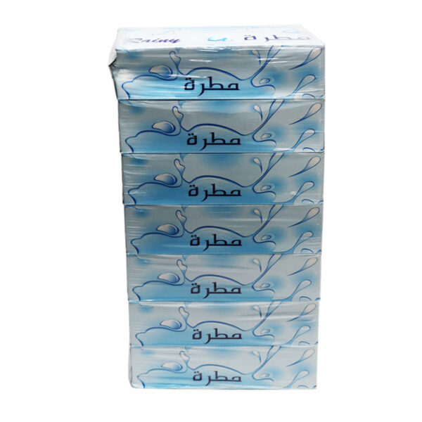 Rainy Facial Tissue 7PCS