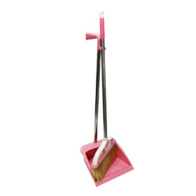 Dustpan With Brush