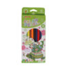 Color Pencil - 12PCS