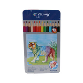 Color Pencil - 12 Colors
