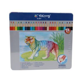 Color Pencil - 24PCS