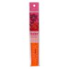 Ruler 20CM - Orange
