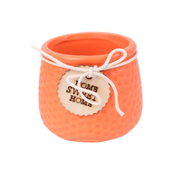 Ceramic Flower Pot