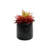Plant With Marble Pot