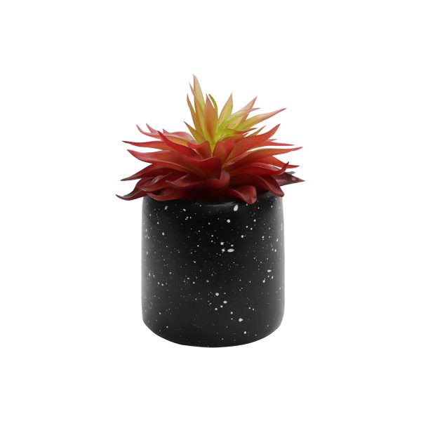 Plant With Marble Pot