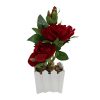 Plant Pot