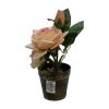 Flower Pot