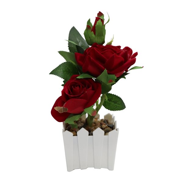 Plant Pot