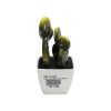 Plant With Plastic Pot
