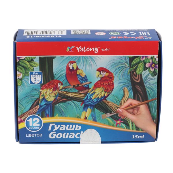Colour Paints - 12PCS