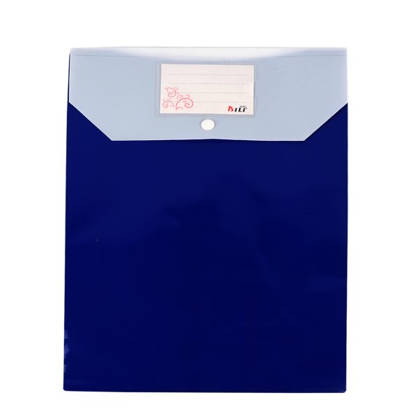 Blue File Bag