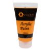 Acrylic Dozen Artist Orange Color 200ML