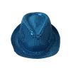 Blue Hat