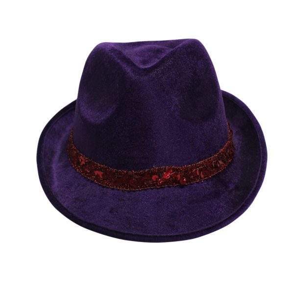 Purple Party Hat