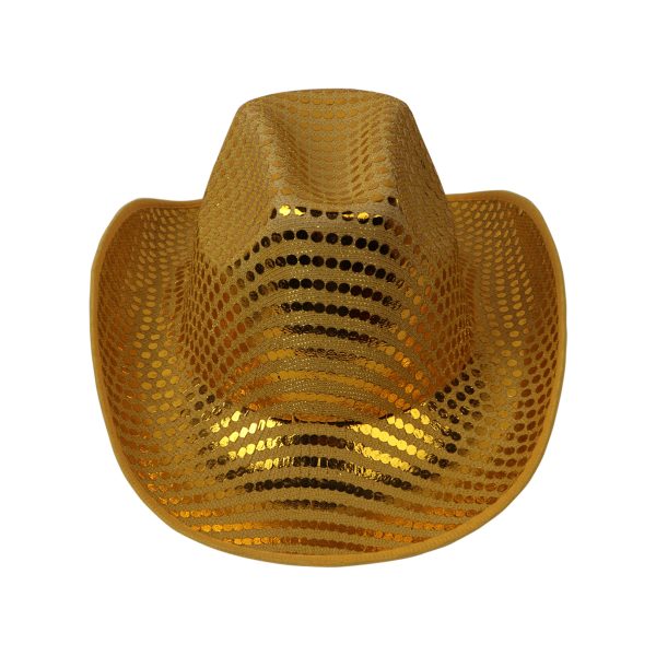 Gold Party Hat