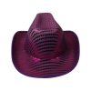 Purple Party Hat