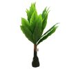 Plant With Plastic Stem