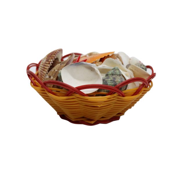 Decorational Sea Shells With Basket