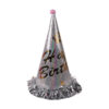 Silver Party Cap 24CM