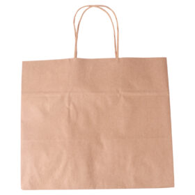 Paper Gift Bag 31 X 20 X 27CM
