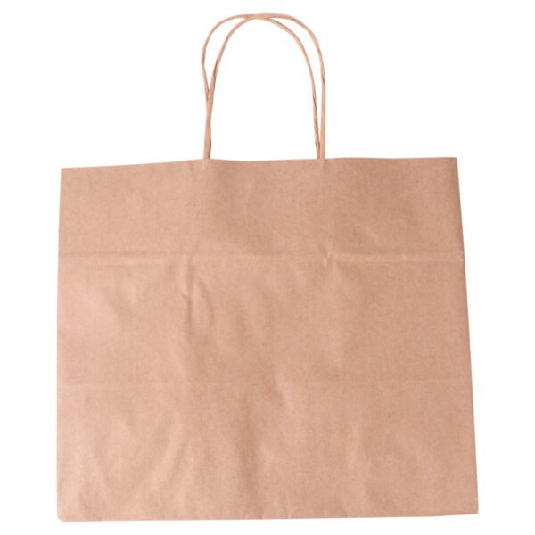 Paper Gift Bag 31 X 20 X 27CM