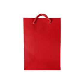Gift Bag 12 X 17 X 7CM