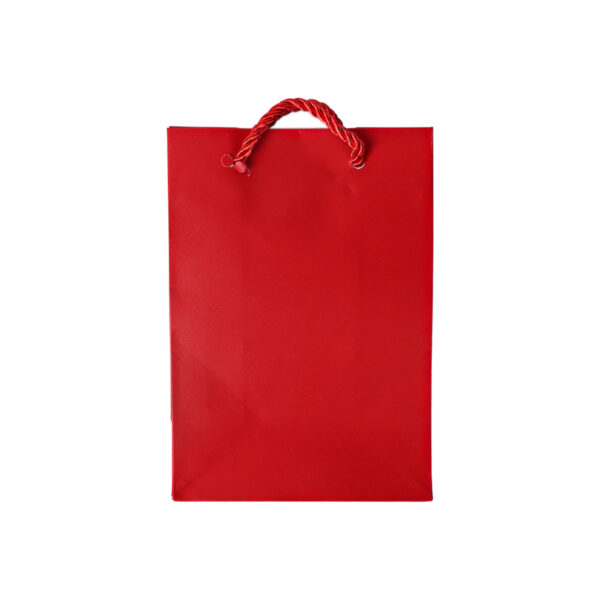 Gift Bag 12 X 17 X 7CM