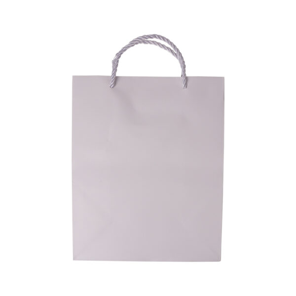 White Gift Bag 21 X 26 X 11CM