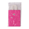 Pink Gift Bag 25 X 18 X 10CM