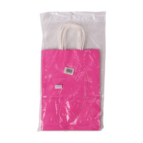 Pink Gift Bag 25 X 18 X 10CM