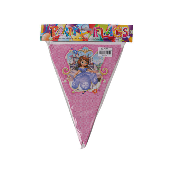 Girls Party Flags - 10PCS