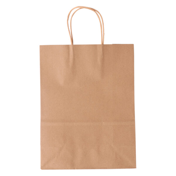Paper Gift Bag 31 X 20 X 27CM