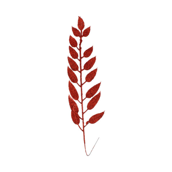 Christmas Leafs Plant