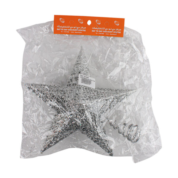 Christmas Silver Mesh Star (25)cm