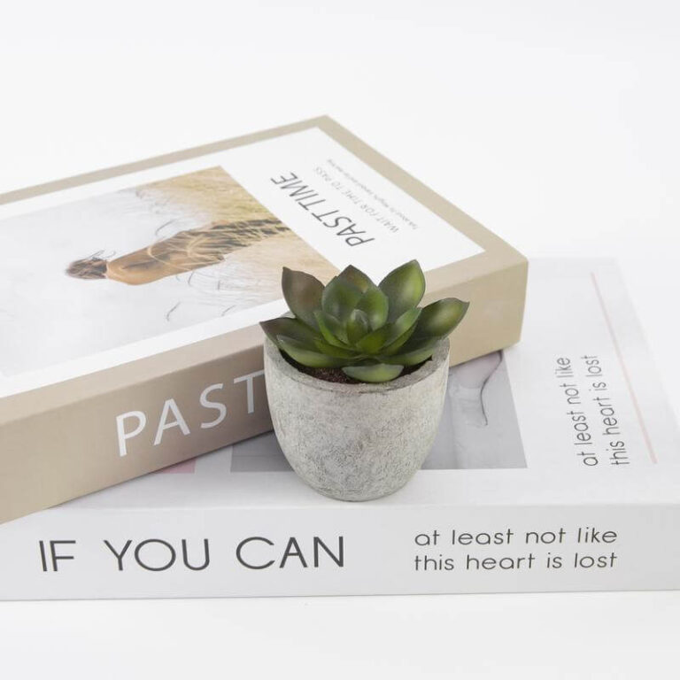 CAMAS-Artificial-Succulent-Plant-in-Pulp-Pot